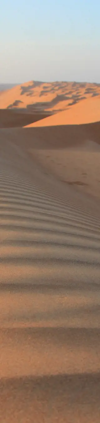 Erlebe die Menschenleere und Stille der riesigen Rub Al Khali Wüste